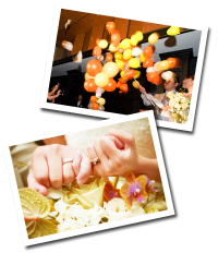 ���x�����@